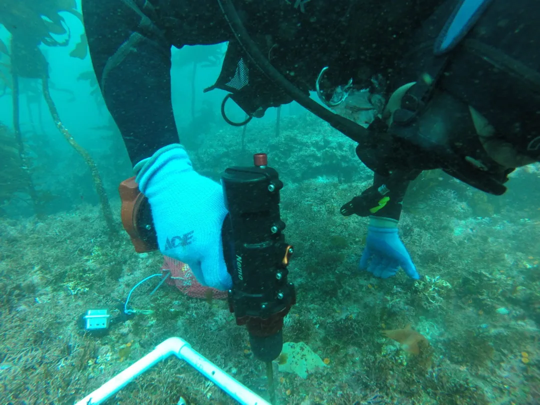Taucher setzt ein Nemo Werkzeug bei einer wissenschaftlichen Untersuchung ein