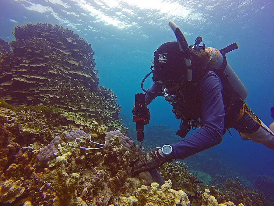 Taucher dokumentiert eine Unterwasserarbeit mit einem Nemo Werkzeug